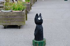 黒姫高原にいたねこの車止めかな　2024/8