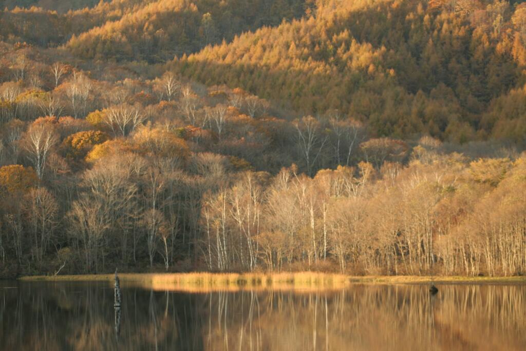 鏡池その2 2006/10