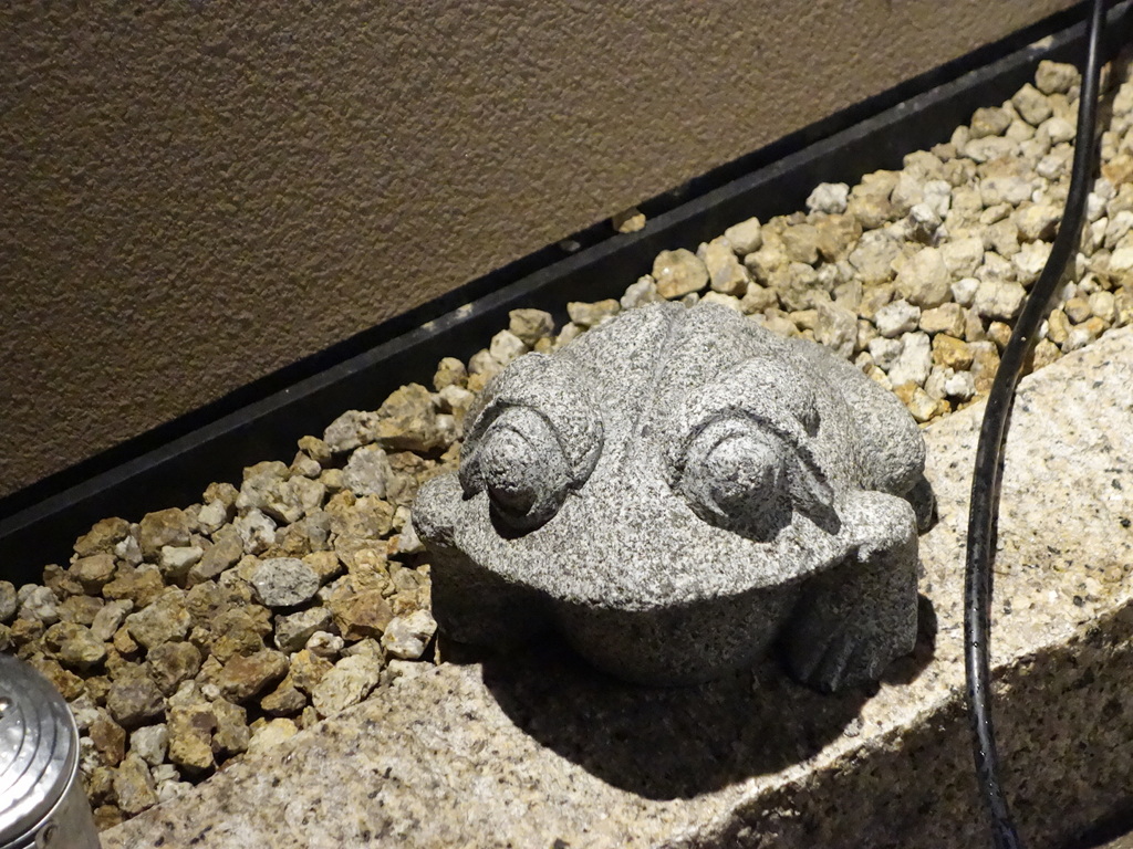 散歩　街にいたカエル