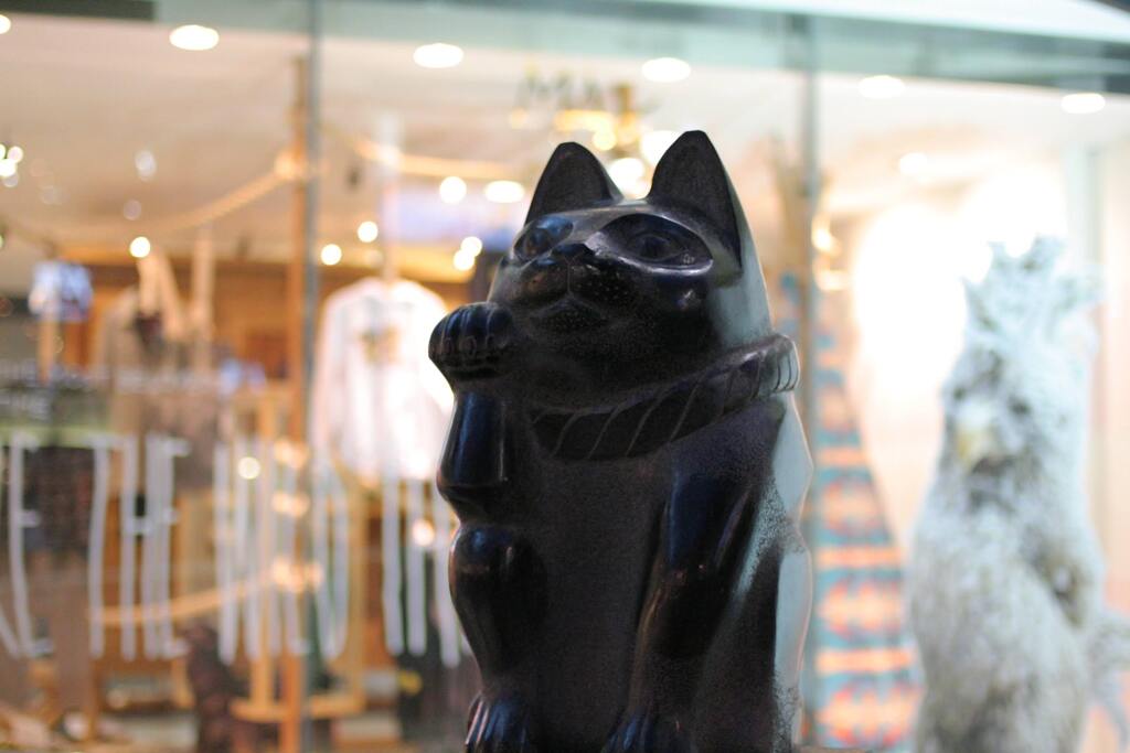 街なかの猫　2010/1