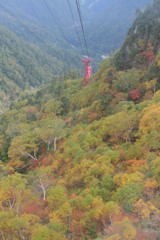 駒ヶ根ロープウェイ乗ってる眼下の景色