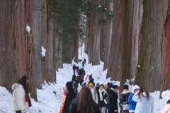 戸隠奥社への参道風景