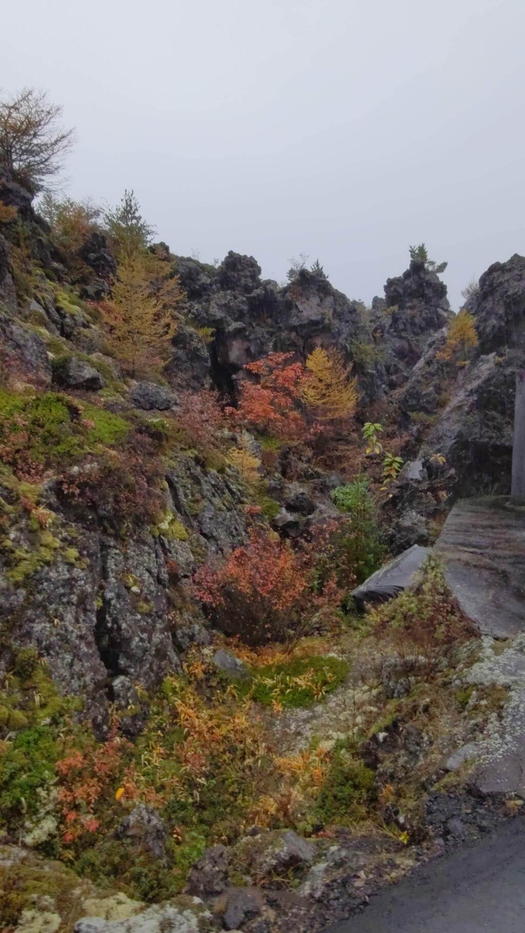 鬼押出し園散策　2024/11