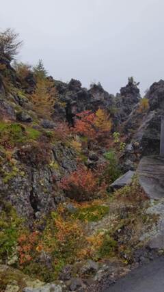 鬼押出し園散策　2024/11