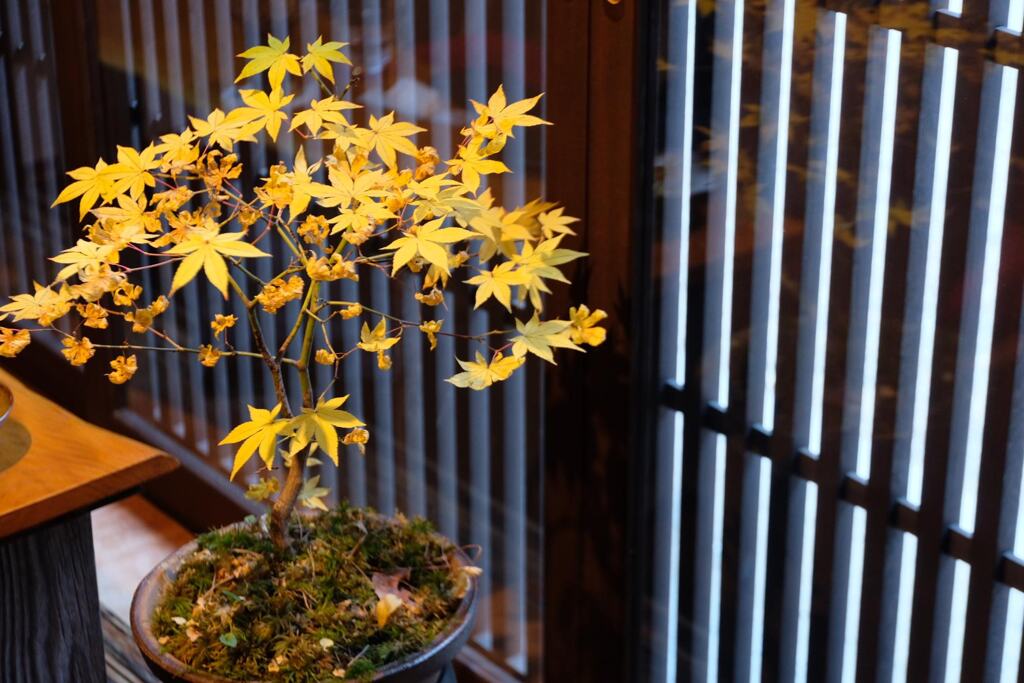 奈良井宿のカフェ　2024/12