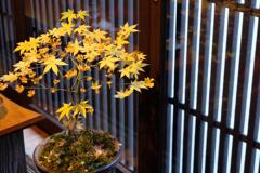 奈良井宿のカフェ 2024/12