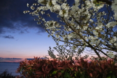 淡路島から夕暮れ