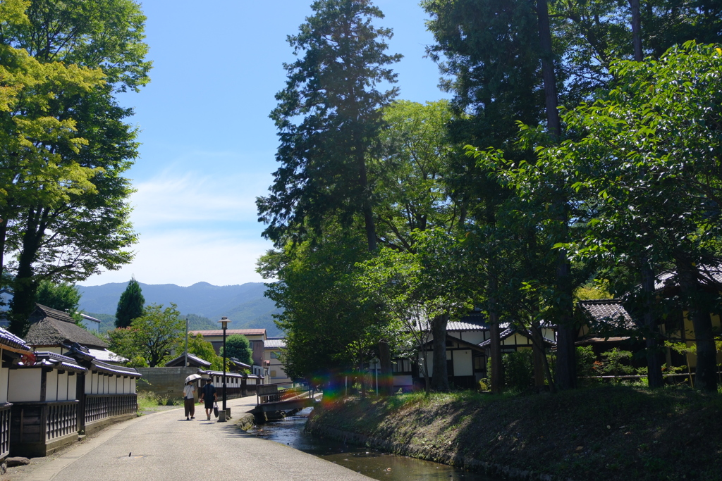 神社脇の小道