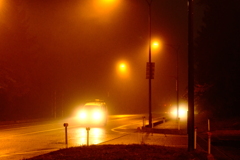 小雨、霧の妙高辺り