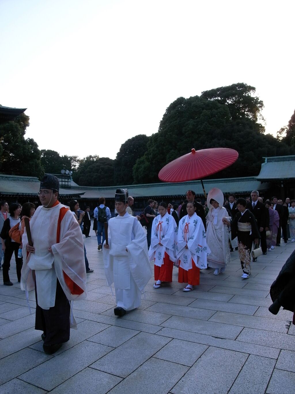 明治神宮4 2008/10