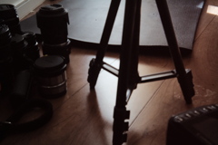 撮りにどこか行きたいなぁ。