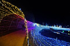 あずみの公園のイルミネーション4