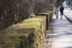 軽井沢散歩 とにかく寒かった。、