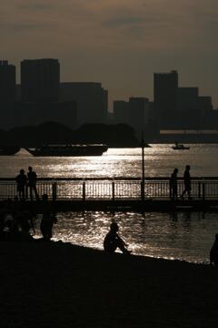 日暮れの海辺　2010年