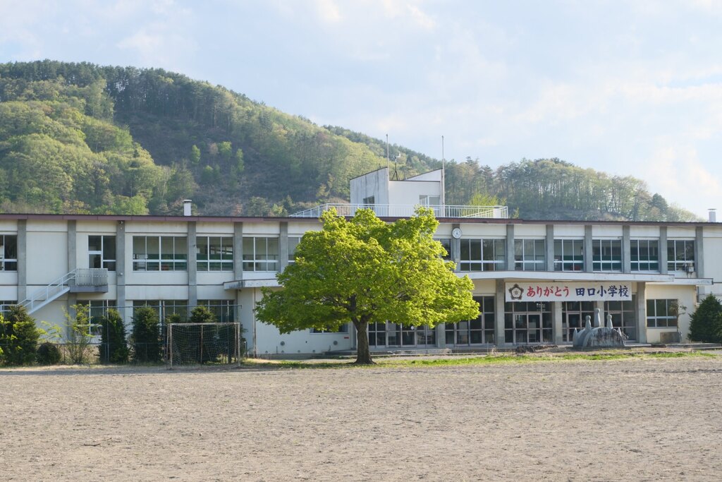 廃校のこの木なんの木！