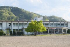 廃校のこの木なんの木！