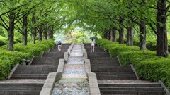 富士川クラフトパーク散歩