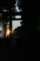 明治神宮散歩5　2009/1