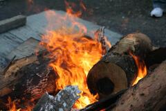 たき火　2008年初詣