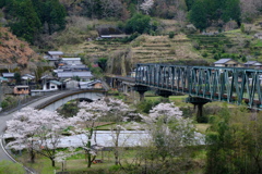 鉄橋鉄道と桜と川