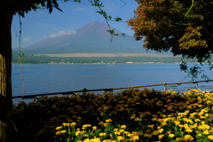 黄色と青と緑の富士