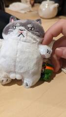 街なかの猫ぐるみ　2025/4