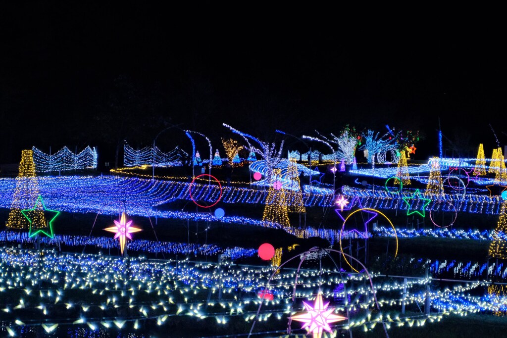 あずみの公園のイルミネーション5