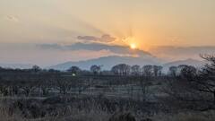 サバンナっぽい…?