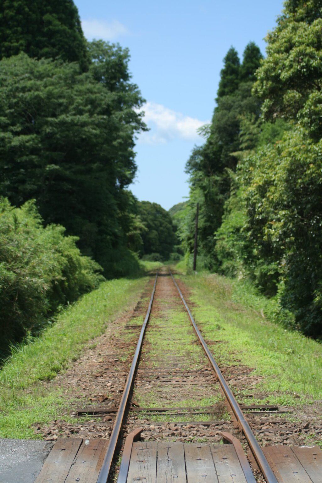 大多喜辺り　小湊鉄道かな？　2009年6月