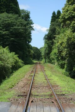 大多喜辺り　小湊鉄道かな？　2009年6月