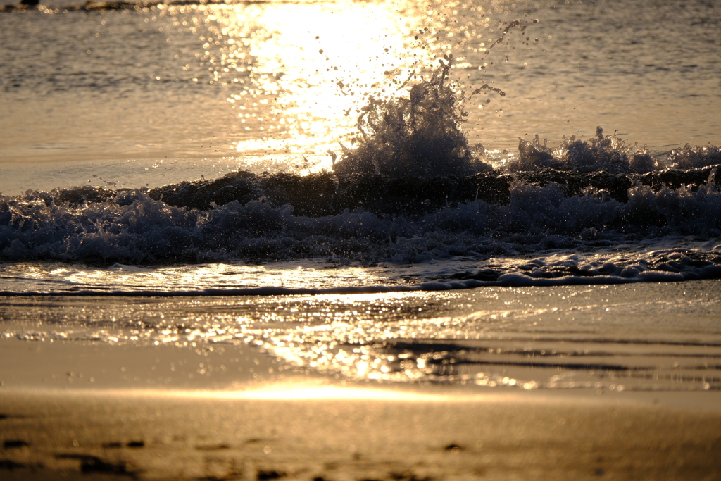 朝日に照らされた波打ちぎわ。キラキラ。