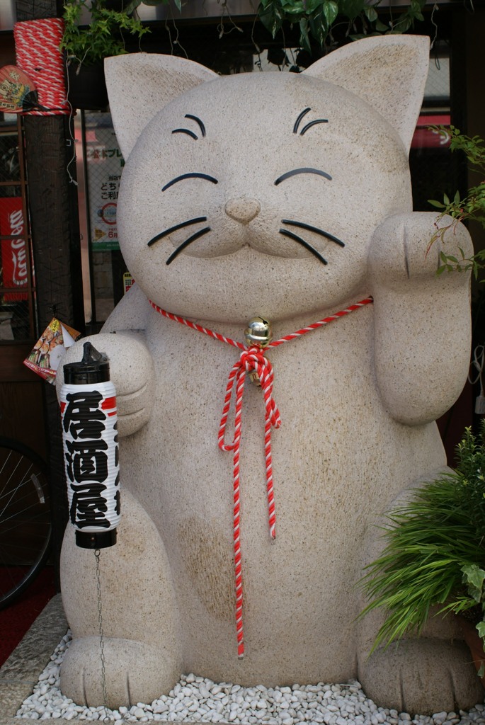 街なかの猫　2009/8