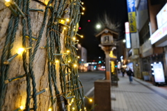 長野駅前イルミネーションの道
