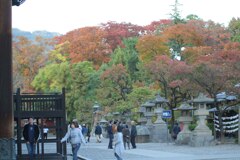 善光寺裏　2007/10