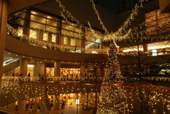 初台オペラシティのクリスマスイルミネーション　2009/11