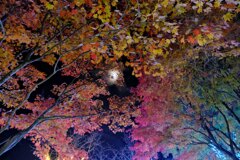 安曇野紅葉と月2