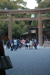 明治神宮散歩2　2009/1