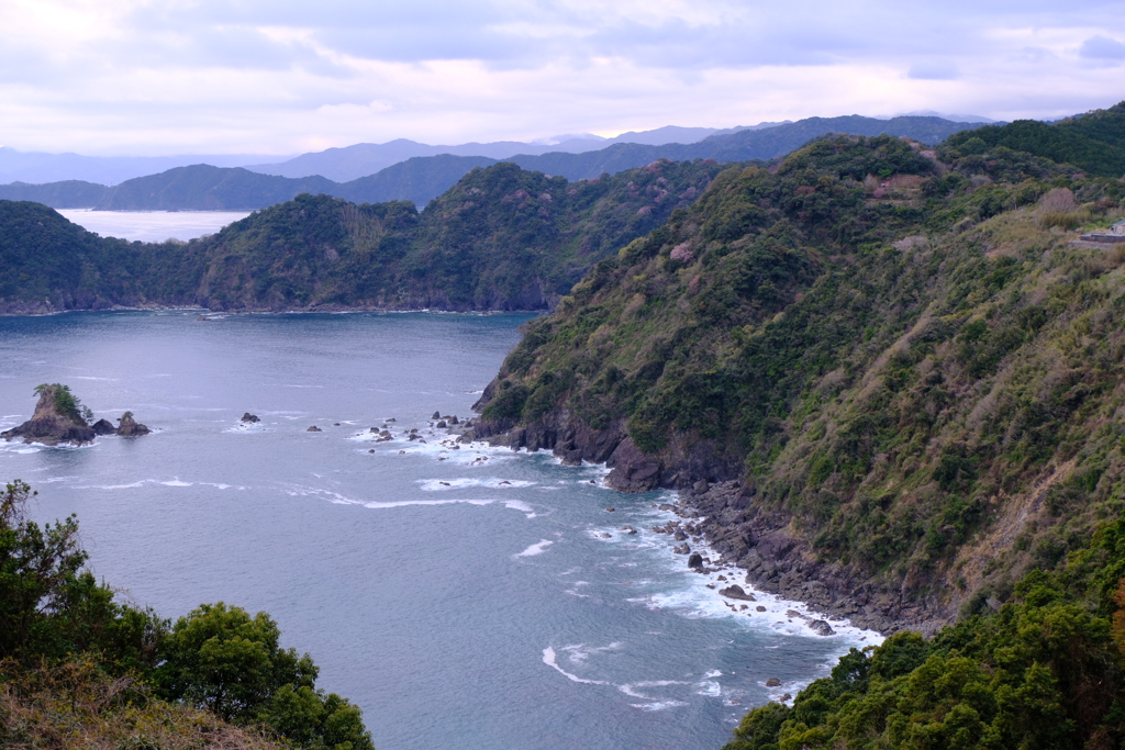 高知の海岸線