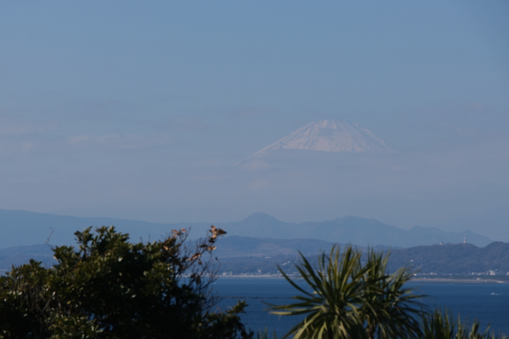 江の島から見えた富士山