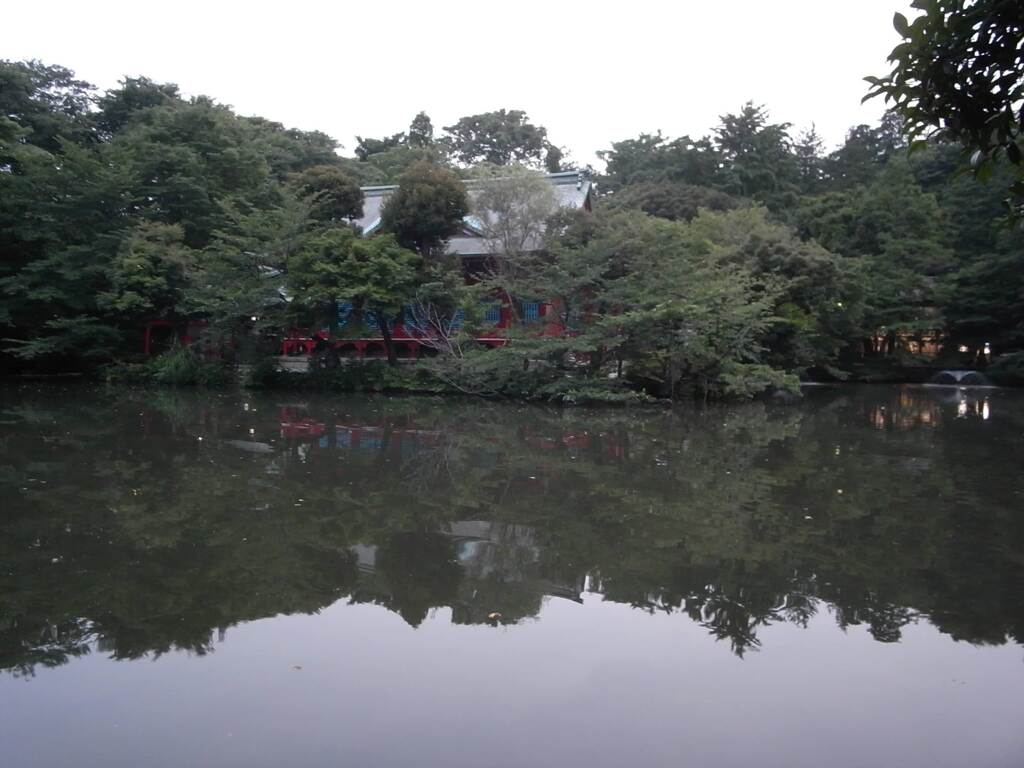 多分井の頭公園　2009年6月