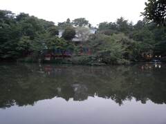 多分井の頭公園　2009年6月