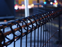 雨の日の夜散歩