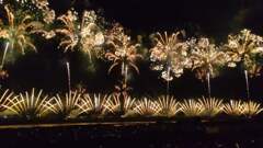 過去の長岡花火　2022/8