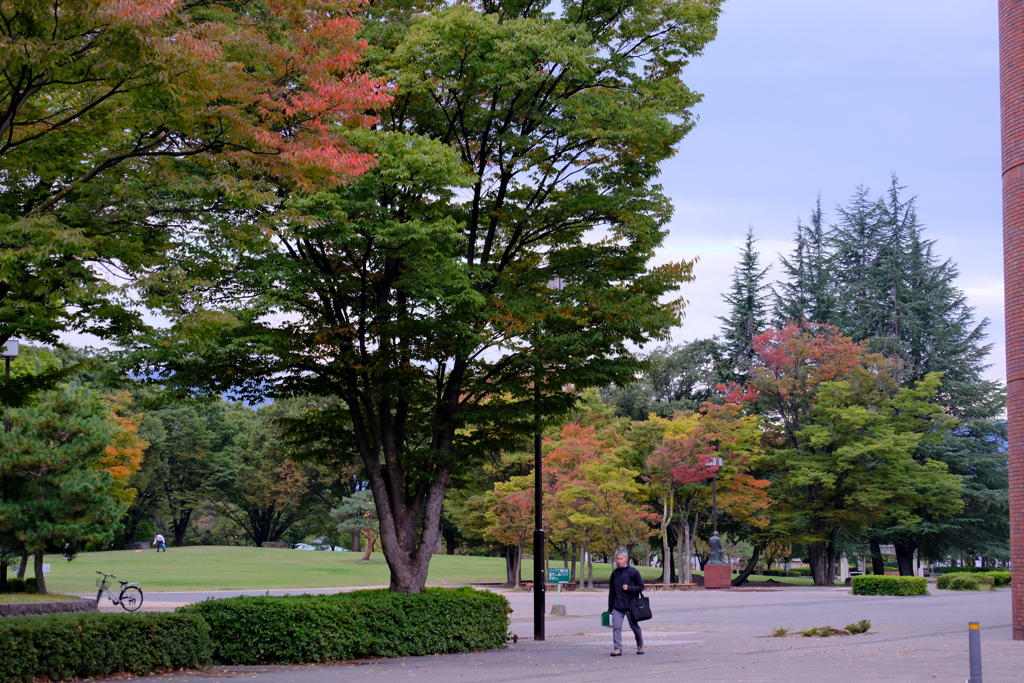 長野市若里公園