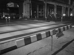 寒くなる中の散歩風景。寒いですね。