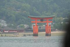 厳島神社の鳥居　2008/10