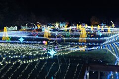 あずみの公園のイルミネーション6