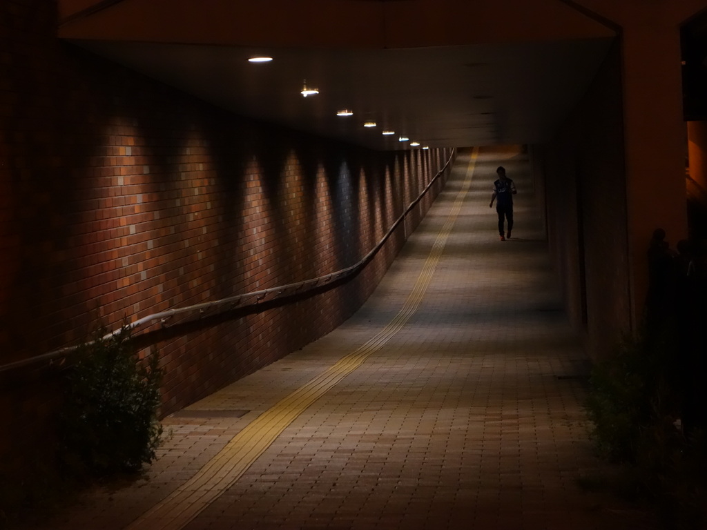 高架下歩道