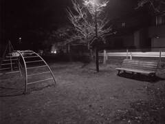 夜の公園