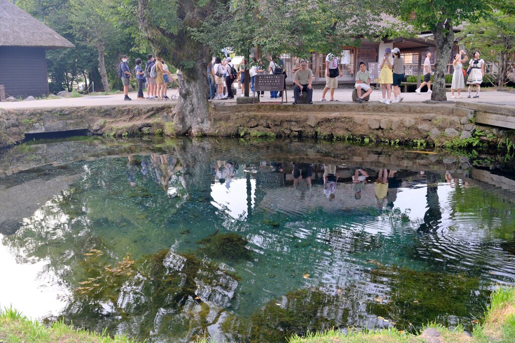忍野八海のよく見る透明な池
